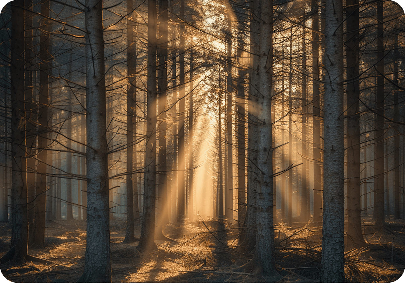 Understanding Something: What It Really Feels Like